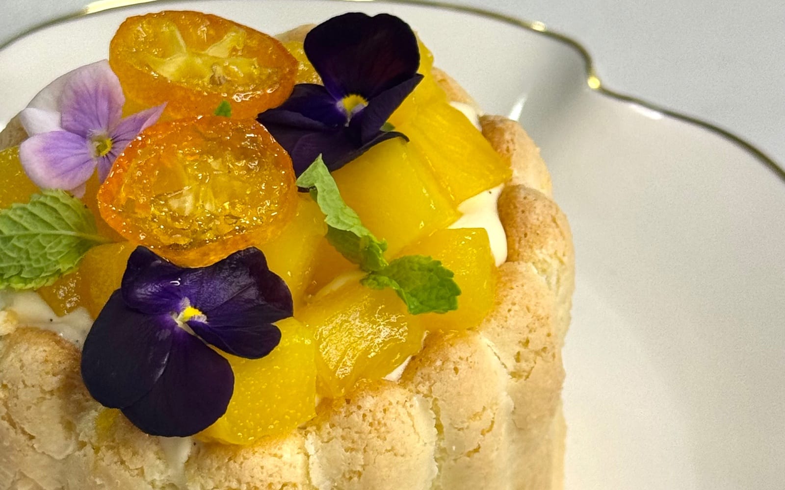 Mango Mini Charlotte