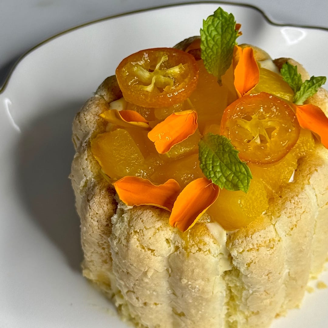 Mango Mini Charlotte